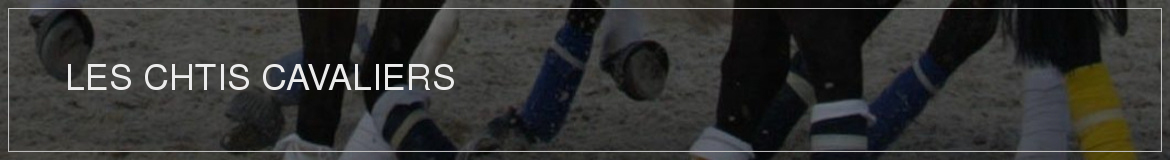 LES CHTIS CAVALIERS